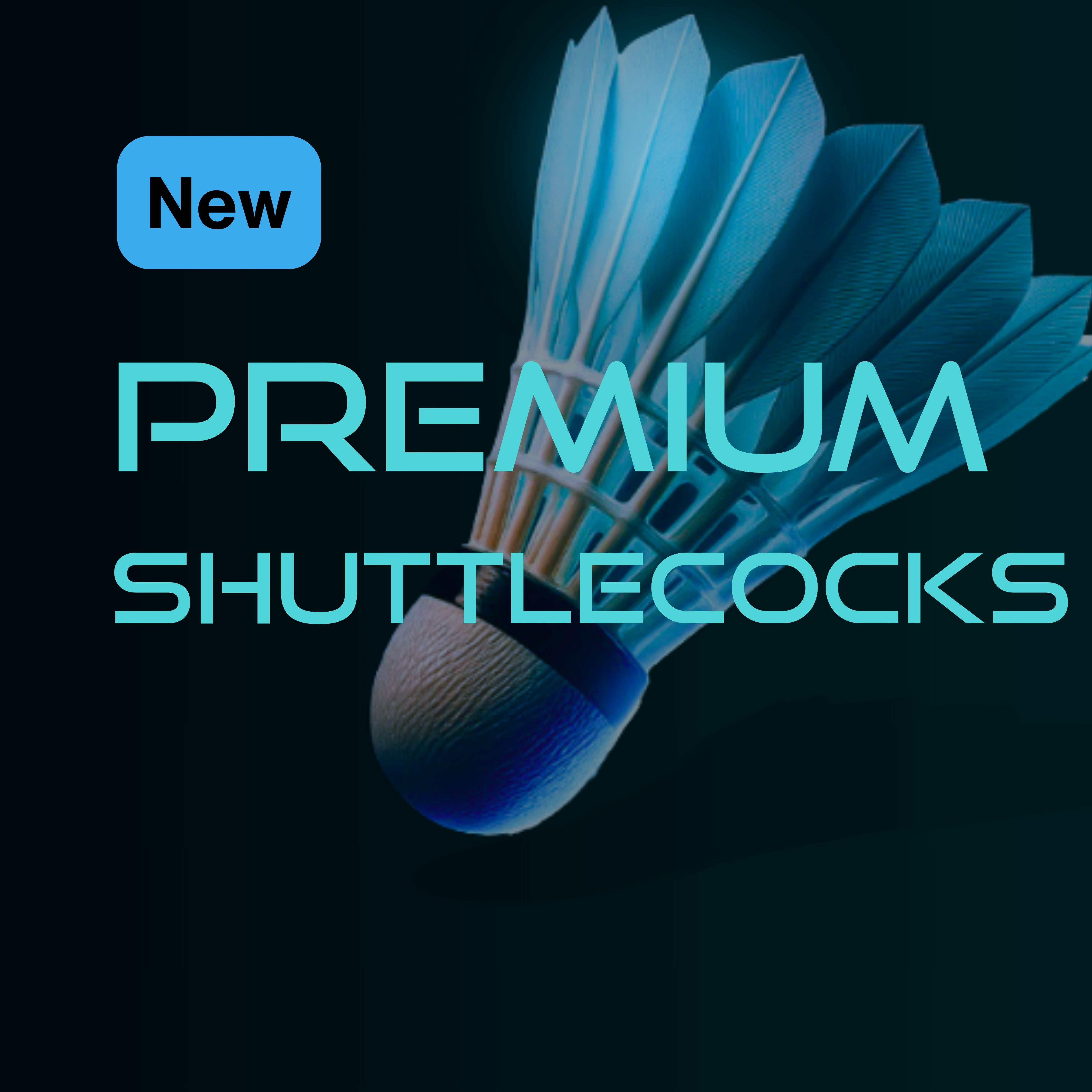 AXEARC Premium Shuttlecocks